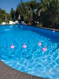 Piscina per feste ed eventi giornaliera