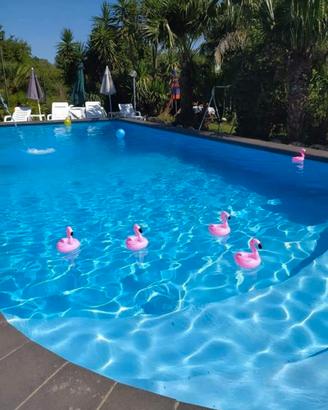 Piscina per feste ed eventi giornaliera