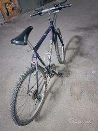Bicicletta uomo