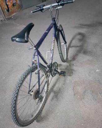 Bicicletta uomo