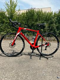 Willier Triestina carbonio