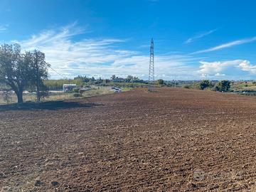 Terreno agricolo/energetico - 45.000