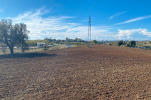 Terreno agricolo/energetico - 45.000