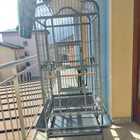 Voliera