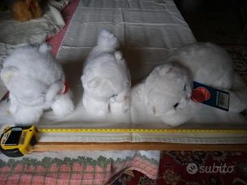 Splendidi peluche gatti bianchi Trudi