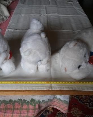 Splendidi peluche gatti bianchi Trudi