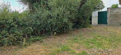 Musei - Via Domusnovas