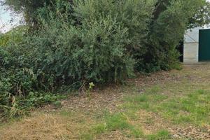 Musei - Via Domusnovas