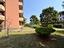 Immagine 26