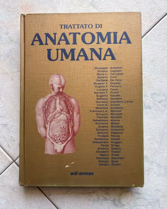 Anatomia Umana Anastasi Volume 2