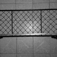 rete griglia divisore trasporto animali