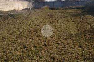 TER. AGRICOLO A GIUGLIANO IN CAMPANIA