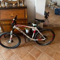 Scott scale 80