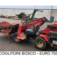 SCOPATRICE OLIVE