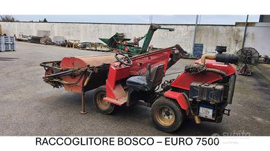 SCOPATRICE OLIVE