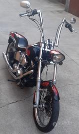 HD SOFTAIL CUSTOM