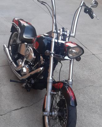 HD SOFTAIL CUSTOM