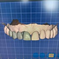 odontotecnico 