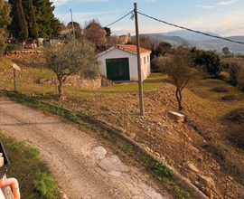 Magazzino per mezzi agricoli