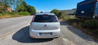 fiat punto anno 2013
