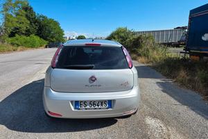 fiat punto anno 2013