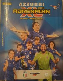 Card Azzurri  2024 Panini