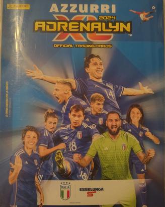 Card Azzurri  2024 Panini