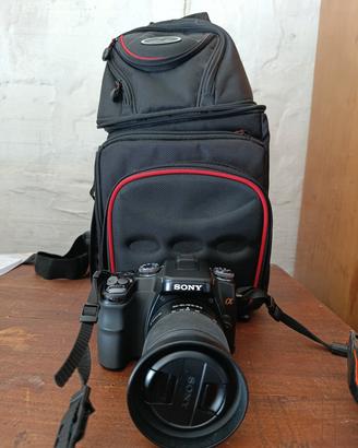 Reflex Sony