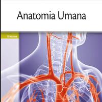 E-Book Anatomia Unana Edises 2019