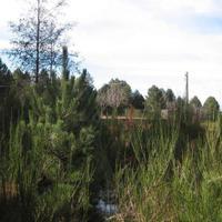 GAMBARIE d'Aspromonte, Terreno Edificabile