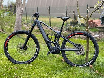 Orbea wild ebike