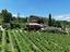 Immagine 14