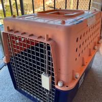 Trasportino omologato