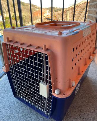 Trasportino omologato