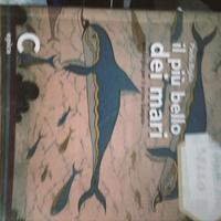 Il più bello dei mari C