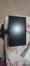 schermo PC Lg 