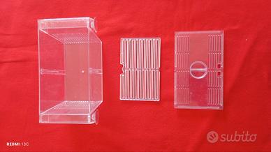 Acquario - Sala parto per avannotti