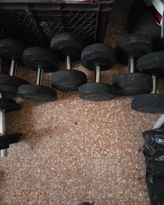 Pesi per palestra.