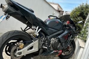 Cbr rr 600