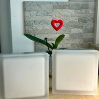 2 Lampade / Punto luce