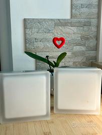 2 Lampade / Punto luce