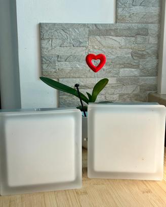 2 Lampade / Punto luce