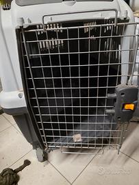 kennel skudo cane taglia media 
