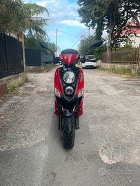 Sym crox 50 2023
