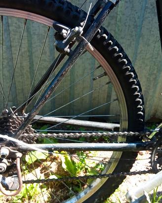 Biciclette  2 per adulti
