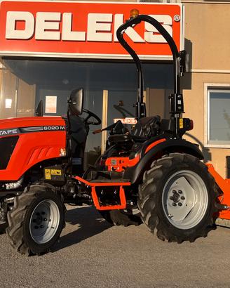 Trattore TAFE 19cv motore Mitsubishi con trincia 1