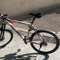 Mountain Bike Vicini