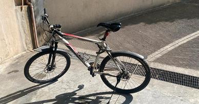 Mountain Bike Vicini