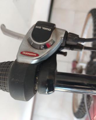 Bicicletta Trubbiani da uomo