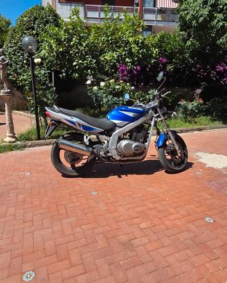 Suzuki gs500